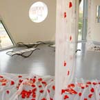 Installation 2005