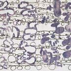 Peinture 2003